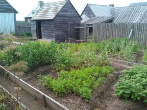 A house garden at Capt de Gannes residence